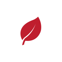 Environmentally friendly: Contains LOW VOCS (Volatile Organic Compound)